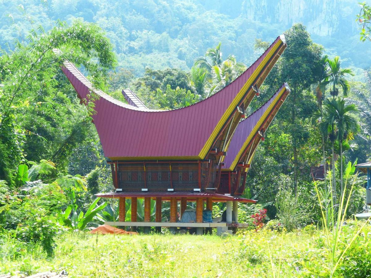 Toraja Torsina Hotel Rantepao Eksteriør billede